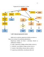 Referāts 'Uzņēmuma mārketinga vides izpēte', 7.