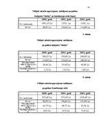 Referāts 'Uzņēmuma mārketinga vides izpēte', 28.