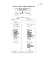 Referāts 'Cietumsodu vēsture', 17.