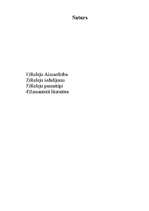 Konspekts 'Releji', 1.