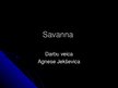 Prezentācija 'Savanna', 1.