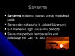 Prezentācija 'Savanna', 2.