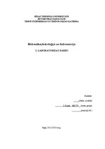 Paraugs 'Hidroloģija. Otrais labortorijs darbs', 1.