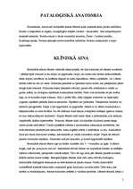 Referāts 'Astma', 5.