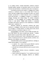 Diplomdarbs 'Kooperatīvā mācīšanās', 19.