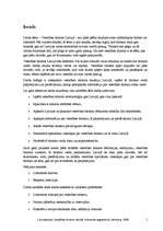 Referāts 'Veselības tūrisms Latvijā', 7.