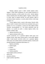 Referāts 'Loģistikas vide un tās ietekme uz uzņēmumu "H&M" Latvijas Republikā', 5.