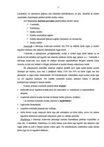 Prakses atskaite 'AS "Hansabanka" darbība', 17.