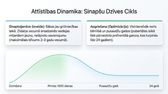 Prezentācija 'Sinaptiskā apgriešana: kāpēc smadzenes likvidē neizmantotos savienojumus', 4.