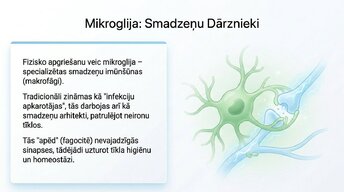Prezentācija 'Sinaptiskā apgriešana: kāpēc smadzenes likvidē neizmantotos savienojumus', 6.