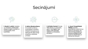 Prezentācija 'Sinaptiskā apgriešana: kāpēc smadzenes likvidē neizmantotos savienojumus', 13.