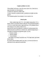 Biznesa plāns 'SIA "Arkāns"', 8.