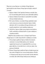 Referāts 'Līzings', 10.