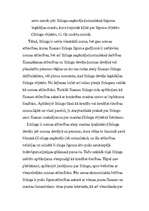 Referāts 'Līzings', 11.