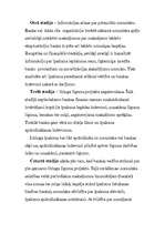 Referāts 'Līzings', 29.