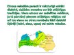 Prezentācija 'Etniskā un nacionālā kultūra', 3.