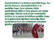 Prezentācija 'Etniskā un nacionālā kultūra', 6.