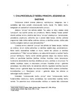 Referāts 'Civilprocesuālo tiesību funkcionālie un organizatoriskie principi', 4.