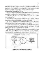 Referāts 'Valūtu sistēmas', 23.