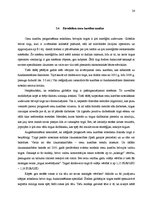 Referāts 'Valūtu sistēmas', 24.