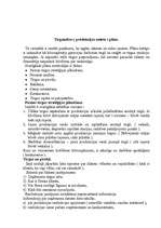 Biznesa plāns 'Būvražošanas plānošana un prognozēšana', 16.