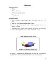 Referāts 'Mājas gadagrāmatas analīze', 4.