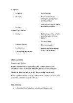 Biznesa plāns 'Biznesa plāns sporta klubam', 15.