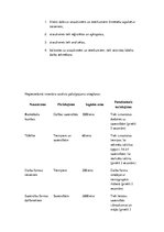 Biznesa plāns 'Biznesa plāns sporta klubam', 18.