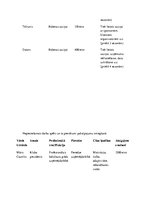 Biznesa plāns 'Biznesa plāns sporta klubam', 19.