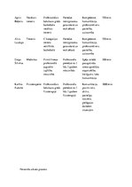 Biznesa plāns 'Biznesa plāns sporta klubam', 20.