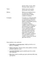 Biznesa plāns 'Biznesa plāns sporta klubam', 22.