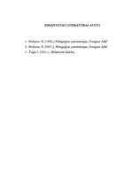 Referāts 'Volfganga Šulca didaktiskais "Hamburgas modelis"', 8.