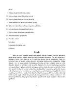 Referāts 'Krievu valodas nozīme Latvijas un Krievijas tirdzniecības sadarbībā', 4.