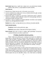 Referāts 'Krievu valodas nozīme Latvijas un Krievijas tirdzniecības sadarbībā', 5.