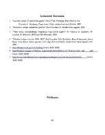 Referāts 'Krievu valodas nozīme Latvijas un Krievijas tirdzniecības sadarbībā', 20.