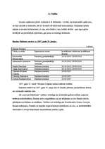 Referāts 'Latvijas Krājbankas stratēģija', 5.