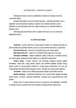 Referāts 'Latvijas Krājbankas stratēģija', 11.