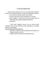 Referāts 'Latvijas Krājbankas stratēģija', 14.