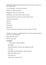 Prakses atskaite 'Aktīvā mācību un audzināšanas prakse pirmsskolā', 29.