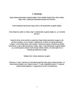 Referāts 'Rīgas lidostas ekonomiskās izaugsmes iespējas', 2.