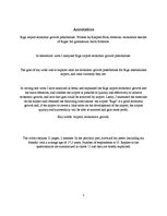 Referāts 'Rīgas lidostas ekonomiskās izaugsmes iespējas', 3.