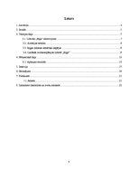 Referāts 'Rīgas lidostas ekonomiskās izaugsmes iespējas', 4.