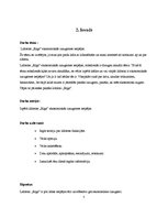 Referāts 'Rīgas lidostas ekonomiskās izaugsmes iespējas', 5.