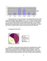 Referāts 'Rīgas lidostas ekonomiskās izaugsmes iespējas', 13.