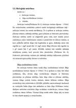 Referāts 'Notekūdeņu attīrīšanas iekārtas pilsētai', 29.