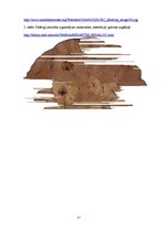 Prezentācija 'Kļūdu labojums patoloģijā', 17.