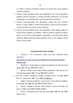 Referāts 'Kultūras nozares finansējuma modeļa analīze Alūksnes novada pašvaldībā', 28.