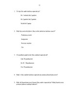 Referāts 'Kultūras nozares finansējuma modeļa analīze Alūksnes novada pašvaldībā', 33.