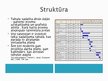 Prezentācija 'Ganta diagramma', 6.