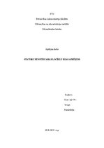 Referāts 'Statiski nenoteicamas locīklu sijas aprēķins', 1.